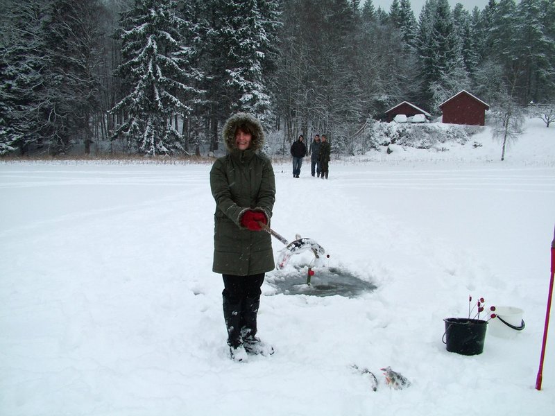 Image: Erforsche die Welt des Eisfischens: Eine neue Herausforderung für deutsche